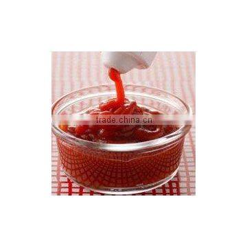 Hot Sell Tomato Sauce ,Ketchup (Y6) photo-5