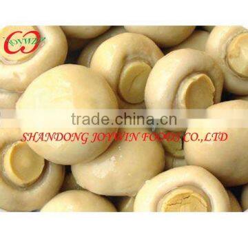 Canned Food Mushrooms whole slices in brine fresh whole sale price