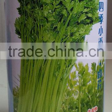 high yield disease resistant lodging resistant hybrid celery seeds