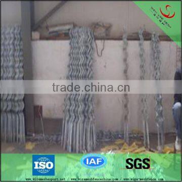 Galvanized Tomatoes shelf support plant growing made in china