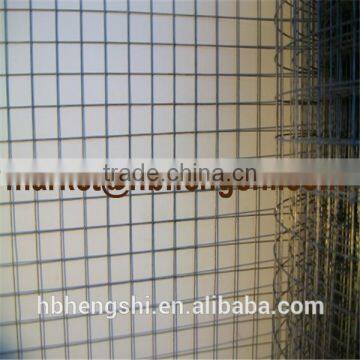 Small Hole 3/8 Inch Galvanized Welded Wire Mesh