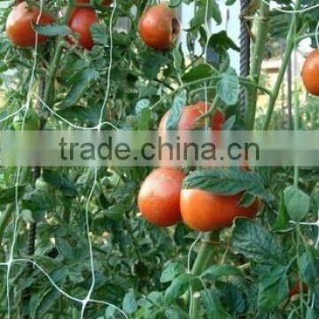 Plant Support Net for Garden photo-6