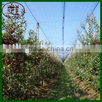 Factory Supply Apple Tree Anti Hail Net With Board and Eyelets