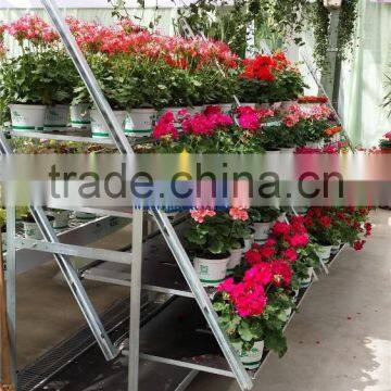 144 PLYwood for Retail Containers, PLYwood for European Flower Trolley, PLYwood for Pot Plant Trolley photo-3