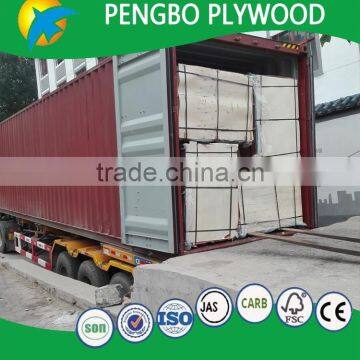 Pressure Treated Plywood 4ft x 8ft for Shuttering photo-5