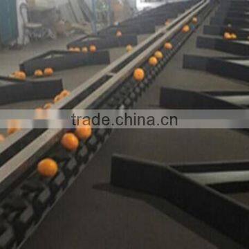 Fruit Washing Waxing Line/vegetable Sorting Washing Machine photo-5