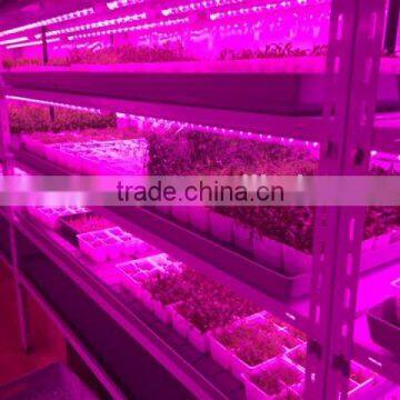 Cheap T8 20w Led Grow Tube for Vertical Seeding Tissue Culture photo-2
