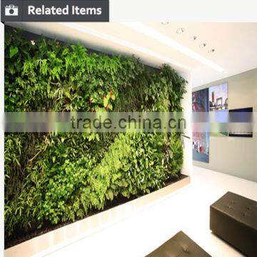 Outdoor Green Wall Long Lasting Green Facades Artificial Green Wall photo-5