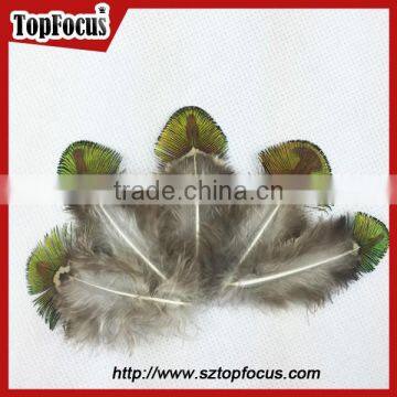 New Trendy Gold Color Cheap Artificial Peacock Feathers for Sale photo-3