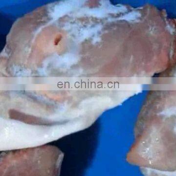 Chinese Products Latest Technology Diced Meat Cutting Machinery photo-5