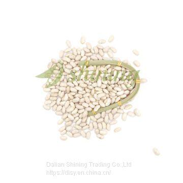 Qualities product White kidney beans Spanish Type price