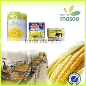 China sweet canned corn kernels/ canned corn price cheap and competitive