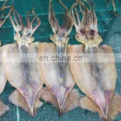 Dried squid japan dried squid nam van long