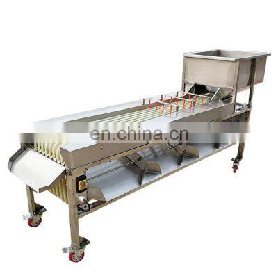 Vegetable Fruit sorter grader/ lychee grading classifying machine/ olive