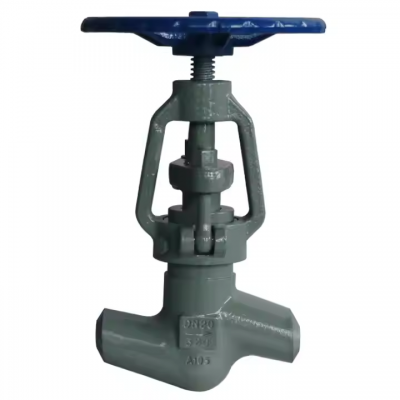 J61Y-160V Station Globe Valve Forged Steel Globe Valve Control Needle Valve 12CR1mov High Temperature / Pressure Power photo-6