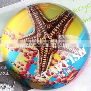 highly pooshed starfish crystal paperweight for work