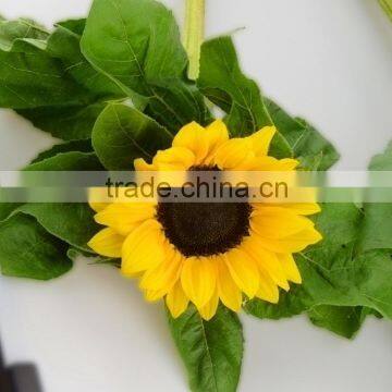 Popular hot-sale cheap sunflowers for sale