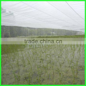 Suntex Virgin HDPE Anti-insect Mesh Netting for Cultivation of Flowers