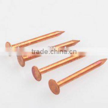 China supplier hardware steel construction material head roofing nail