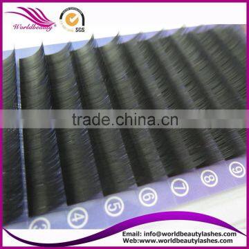 Top Quality Wholesale Price Eyelash Extension photo-5