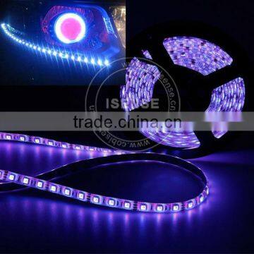 Home/auto use high voltage rope light LED