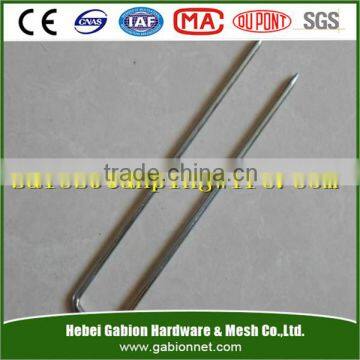 Hot-dipped galvanized fence staples / U-Nails/ U Type Nails