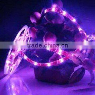 flexible waterproof pink 5050 led strip