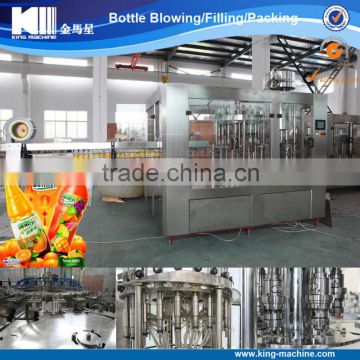 Natural / Fruit Juice Bottling Machine / Production Line