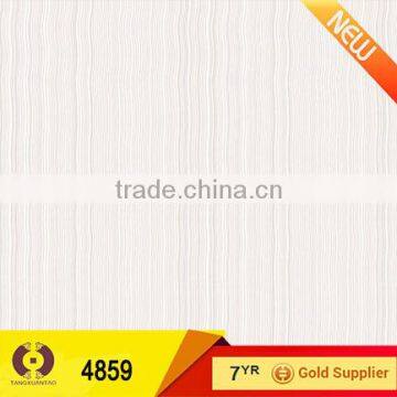 25x40 cheap price wall tiles ceramic tile for bathroom (4859)