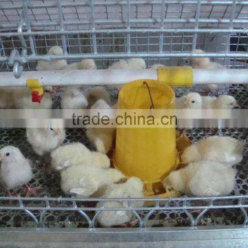 chicken brooder battery cages