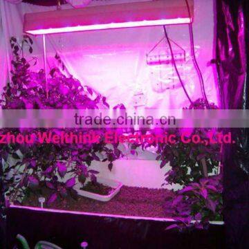 3w chip led grow light,150W,300W