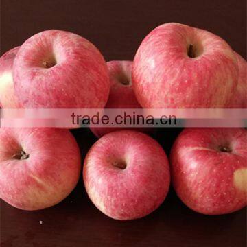 2015 New Year Fresh Fuji Apple Biggest Exporter Chinese Fresh Fruit Red Apple Fuji