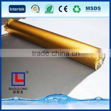 EVA With Golden Film photo-3