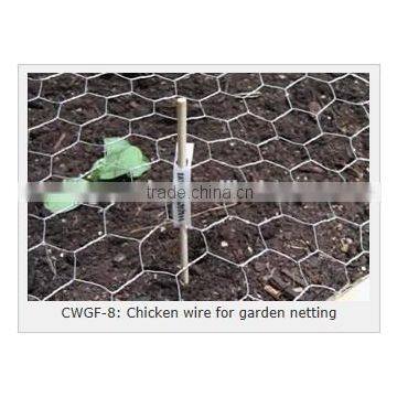 Hexagonal Netting, Twisted Mesh Supplier (electro Galvanized/ Hot Dipped Galvanized/pvc) photo-6