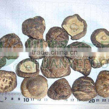 Dry Mushroom Shiitake Hot Sale