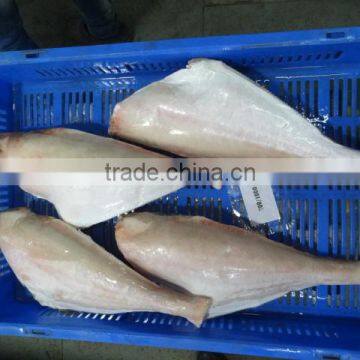 FROZEN LEATHER JACKET HGT photo-6