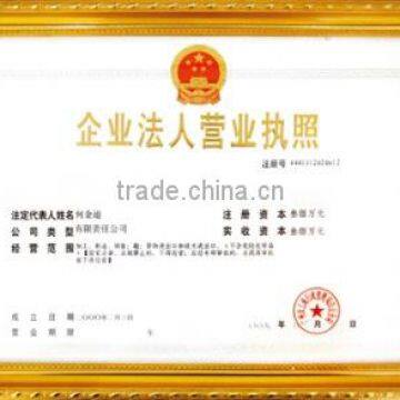 Enterprise Business License