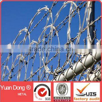 Concertina galvanized razor wire(direct factory)