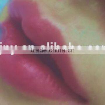 2016 Led Nano Photon Lip/Eyelash/Facial RECHARGEABLE Microneedle Derma Pen photo-5