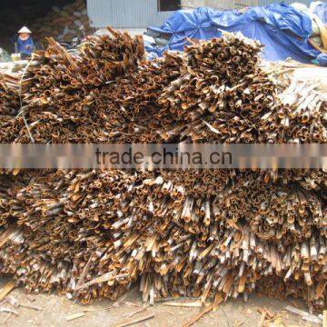 Vietnam Cassia , Vietnam Cinnamon New Crop 2015