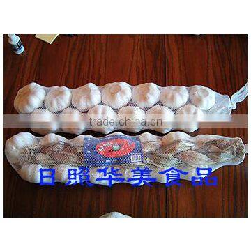 Fresh White Garlic From China photo-2