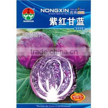 High Quality Chinese Hybrid Purple Red Cabbage Seeds For Growing-Purple Red Cabbage