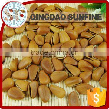 Certified organic pine nuts