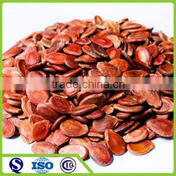 2016 new crop Chinese melon seeds watermelon seeds nut