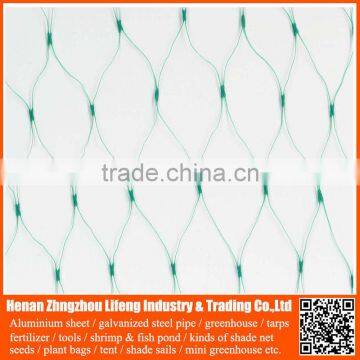 cheap hdpe bird netting , pe bird net for catching bird , agricultural plastic anti bird net from China