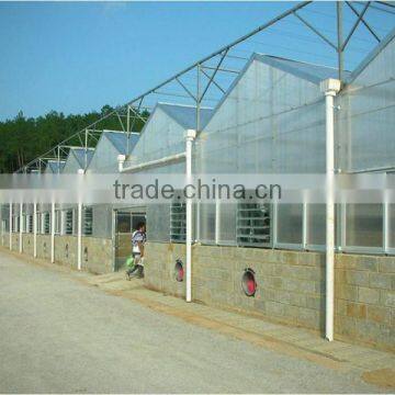 light frame steel structure building for greenhouse, poultry farm with really low cost