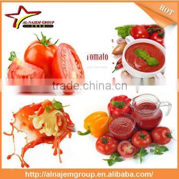 New Hot sale tomato sauce filling machine tomato sauce making machine tomato paste treatment equipment