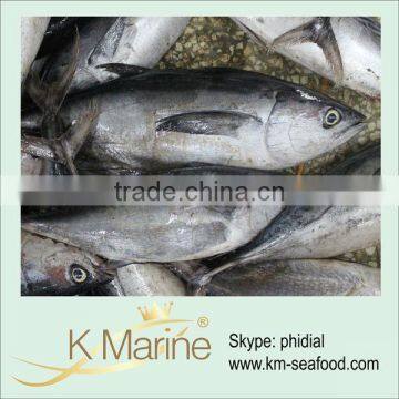 China Cheap Frozen Yellowfin Tuna Price lot number#kmw4003