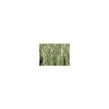 Oliver Green PE Fake Football Artificial Grass Turf Lawns 50mm 9800Dtex