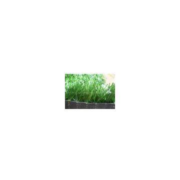 Sell artificial turf, synthetic grassGT-DSY-50